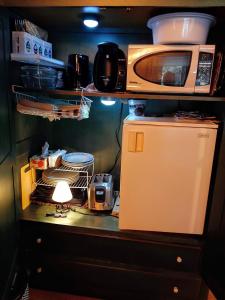 a kitchen with a microwave and a refrigerator at Gîte le 308 Chambre bord de l'eau oka in Oka