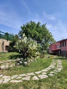 Gallery image of Agriturismo Le Pellicce in Riparbella