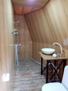 a bathroom with a sink and a shower at Yenokavan Glamping in Ijevan