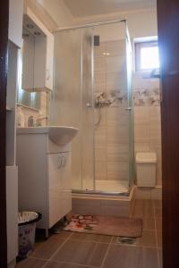 a bathroom with a shower and a sink at Havellant Vendégház in Abádszalók
