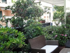 Zahrada ubytování Hotel Rondinella + 21 fotografií