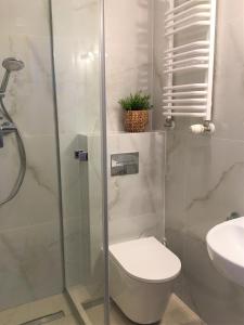 a bathroom with a shower and a toilet and a sink at Apartament Agaciula in Krynica Morska