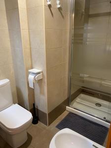 een badkamer met een douche, een toilet en een wastafel bij Apartamento del pirineo in Salas Bajas