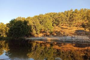 a body of water with trees in the background at Villa Tauria- Casa de campo em aldeia medieval in Sabugal