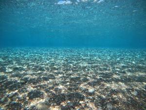 a large body of water with a lot of coral at Ktima Tzaneti in Lachania +45 photos