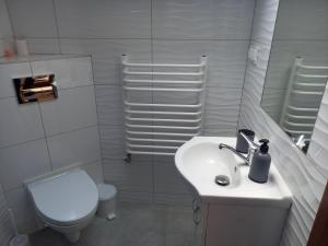 Kúpeľňa v ubytovaní Zagroda na Borach