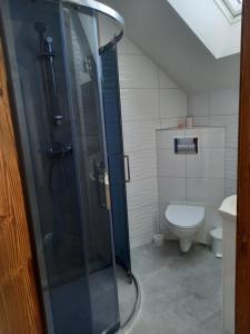 Kúpeľňa v ubytovaní Zagroda na Borach