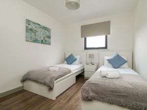 two beds in a room with white walls and blue pillows at Oakwood in Par