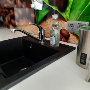 a bottle of soap sitting on a kitchen sink at business-lodging Apartmenthaus in Höhr-Grenzhausen