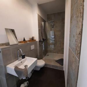 La salle de bains est pourvue d'un lavabo, de toilettes et d'une douche. dans l'établissement business-lodging Apartmenthaus, à Höhr-Grenzhausen