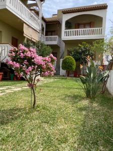 a house with pink flowers in the yard at Nicolas Beach in Palaiochora