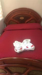 Photo de la galerie de l'établissement HOSTAL SAN FRANCISCO, à San Cristóbal