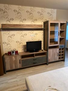 TV a/nebo společenská místnost v ubytování Platán Apartman