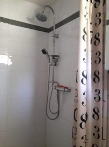 a shower with a shower head in a bathroom at GITE LA ROCHE in Le Boulvé