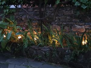 Aed väljaspool majutusasutust Hotel Zoagli