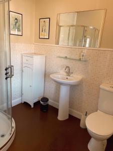 a bathroom with a sink and a toilet and a mirror at The Cobbles Inn Apartment in Kelso