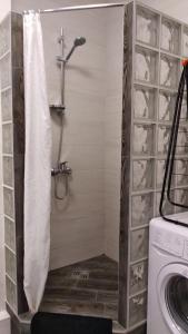 a shower with a shower curtain in a bathroom at Fly Up Home apartment in Boryspilʼ