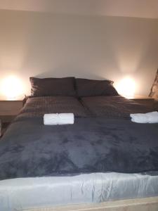 łóżko z dwoma ręcznikami na górze w obiekcie Dedin raj w mieście Golubac