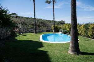 uma piscina num quintal com palmeiras em Andromia Studios & Apartments em Agia Marina Nea Kydonias