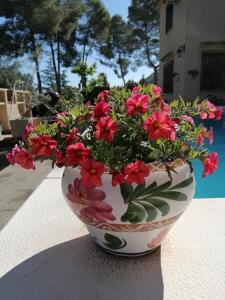 Ein Garten an der Unterkunft Casa Jetizo