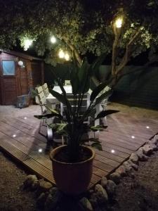 Ein Garten an der Unterkunft Casa Jetizo