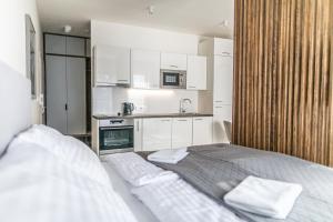 Kuchyňa alebo kuchynka v ubytovaní Ski Chalet Klínovec