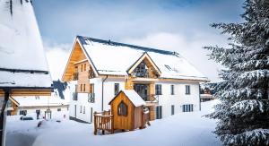 Ski Chalet Klínovec v zime