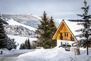 Ski Chalet Klínovec v zime