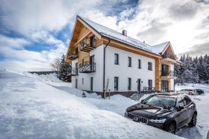 Ski Chalet Klínovec v zime