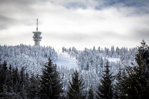Ski Chalet Klínovec v zime