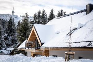 Ski Chalet Klínovec v zime