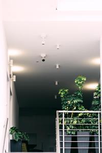 Fotografie z fotogalerie ubytování Athena Center Apartments v destinaci Sivota