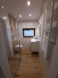 a bathroom with a shower and a sink and a toilet at Morskie Opowieści in Żarnowska