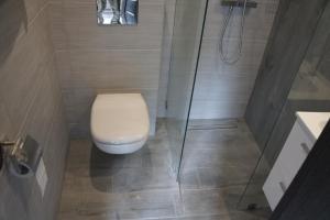 a bathroom with a toilet and a shower at Pueblo Pokoje in Stegna