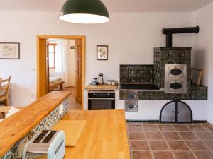 a kitchen with a stove and a stove top oven at Martinkovice 201 Broumov in Martínkovice