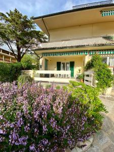 A garden outside Beach apartments Isola d'Elba
