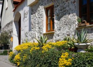 Zahrada ubytování Weingut Langmayer