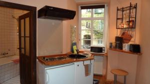 マインツにあるAltstadtapartment Rochusstraßeのシンクとコンロのある小さなキッチン +15枚の写真