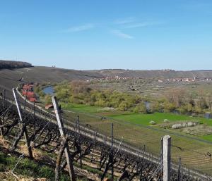 a fence on top of a field with a river at Ferienwohnung - Zimmervermietung Ringelmann in Dettelbach