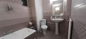 ein Badezimmer mit Toilette und Waschbecken in der Unterkunft Apartamente Casa Cristina in Pensiune la 400m de Pârtia de ski in Buşteni + 32 Fotos