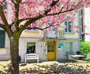 un árbol con flores rosas delante de un edificio en CityLodge St Gallen - 2 min to Marktplatz, en St. Gallen