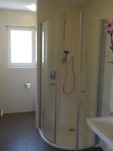 ein Bad mit einer Dusche und einem Waschbecken in der Unterkunft Apartments Talblick in Litzendorf