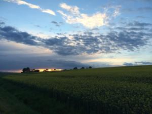 ein Feld von grünem Gras mit wolkigem Himmel in der Unterkunft Apartments Talblick in Litzendorf