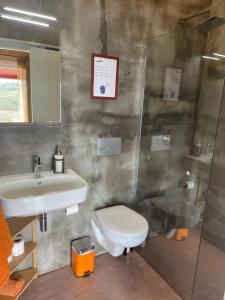 a bathroom with a toilet and a sink and a shower at Poioruivo in Santa Clara-a-Velha
