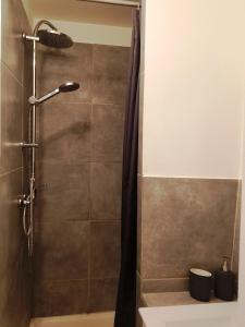 W łazience znajduje się prysznic z zasłoną prysznicową. w obiekcie Cordeliers Jordans Flat City centre historique w mieście Dijon