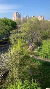 - Vistas a un parque con árboles y a una calle en Gabriel's Apartment, en Constanţa