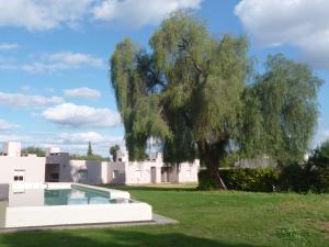 a large willow tree next to a swimming pool at Las Lilas Cabañas in La Rioja