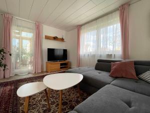 Μια τηλεόραση ή/και κέντρο ψυχαγωγίας στο Villa Lotte