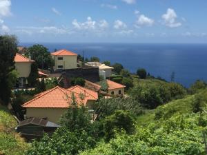 a village on a hill with the ocean in the background at Blooming Botanic Houses in Estreito da Calheta