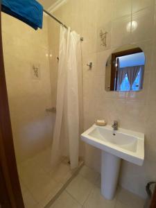 a bathroom with a sink and a shower at EVA Apartments in Khimki